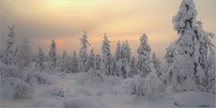 Jyppyrä im Winter