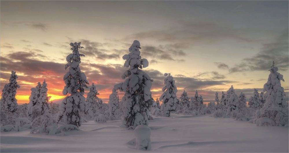 Jyppyrä Morgens