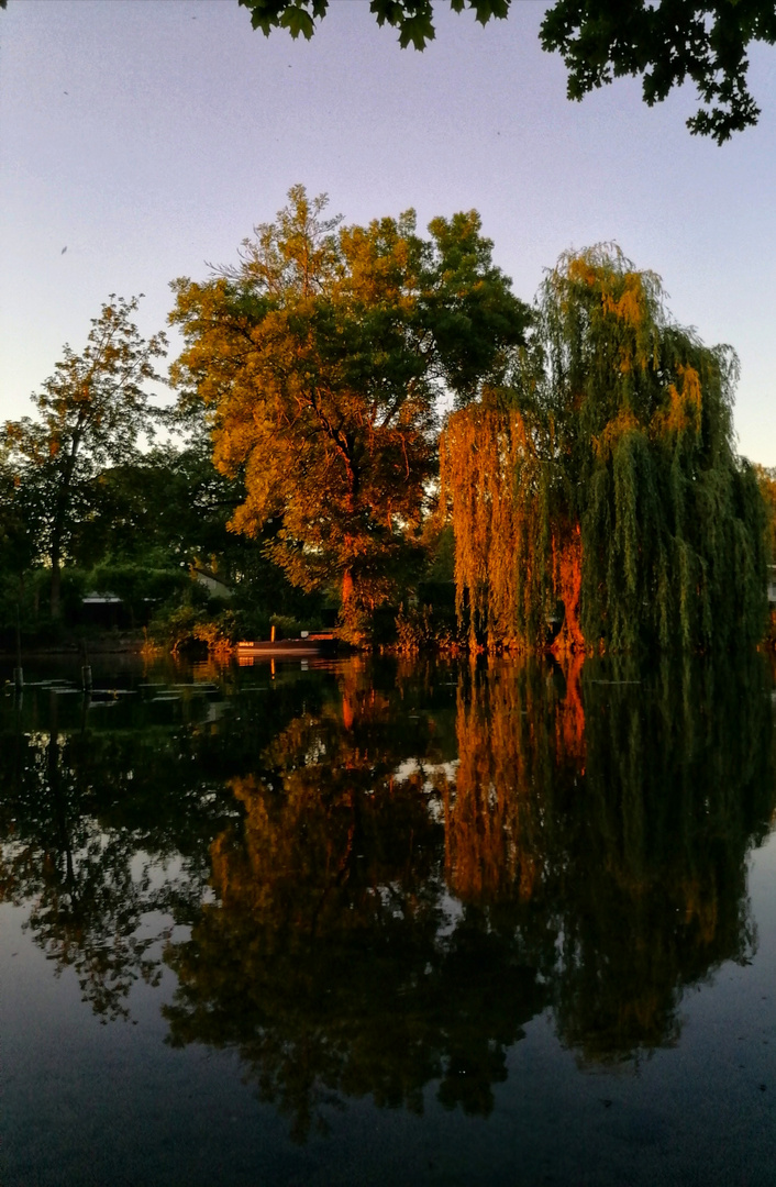 (K) ein Trauerspiel im Sonnenuntergang 