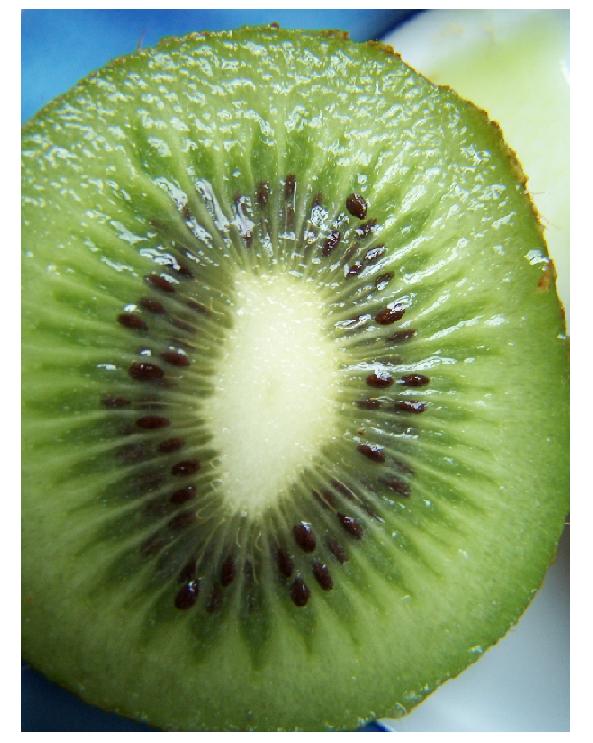 K wie Kiwi