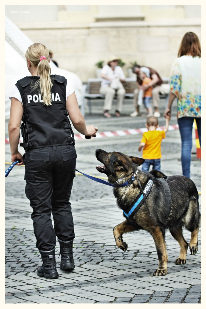 K9-06-3