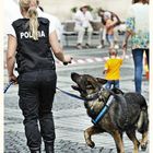 K9-06-3