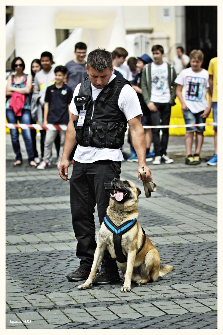 K9-07-3