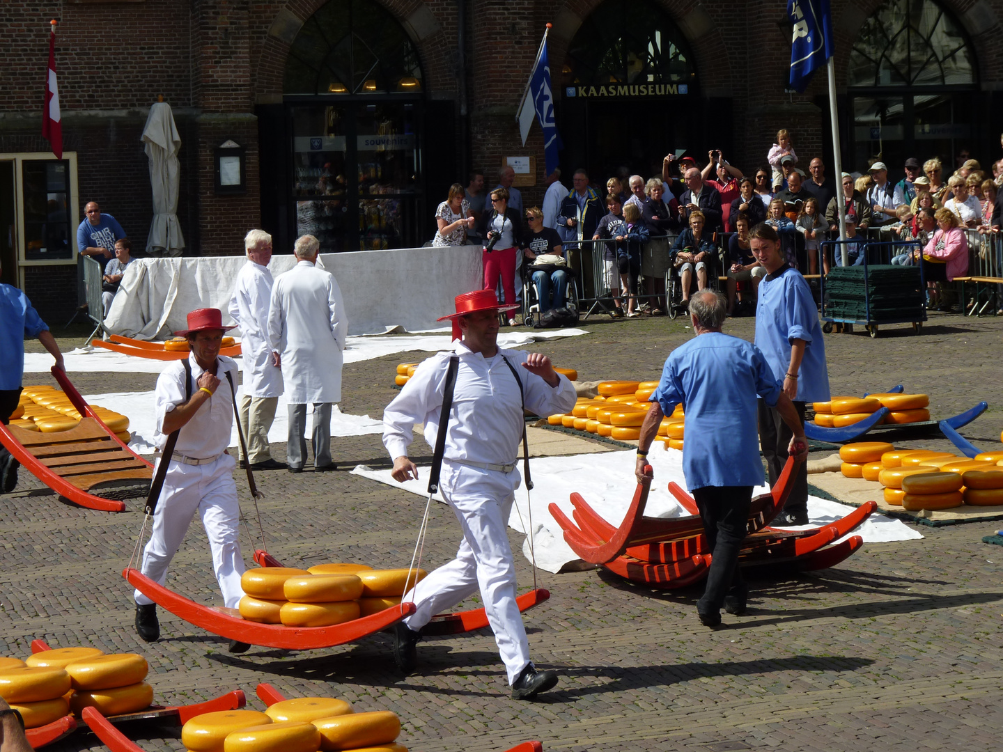 Kaasmarkt in Alkmaar/ NL