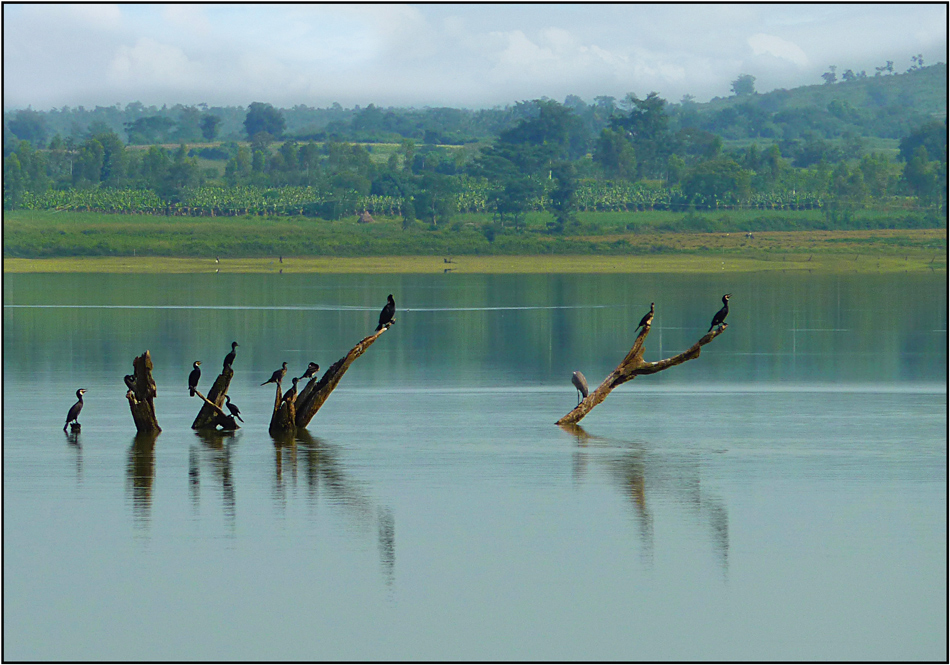 Kabini River