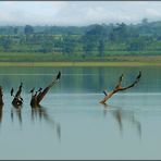 Kabini River