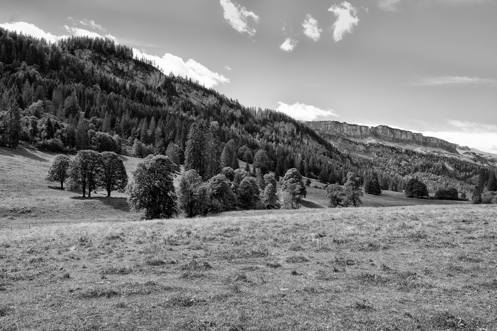 Kackenköpfe Oberstdorf