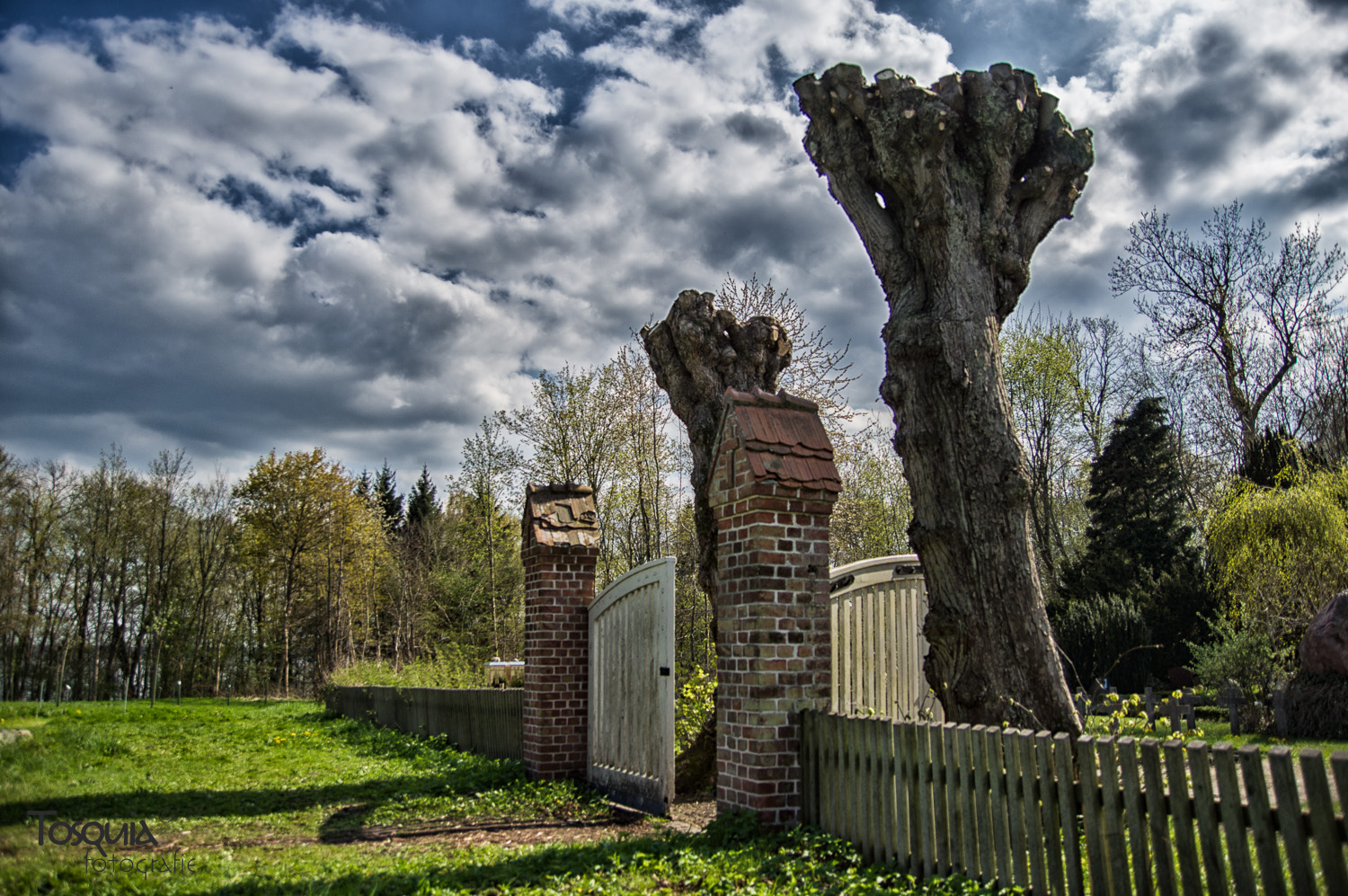 Kadettenfriedhof