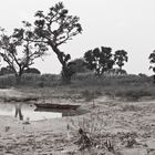 Kaduna river October 2011