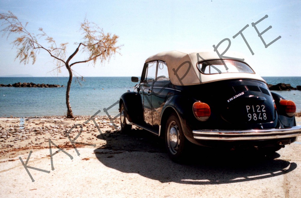 Käfer am Strand