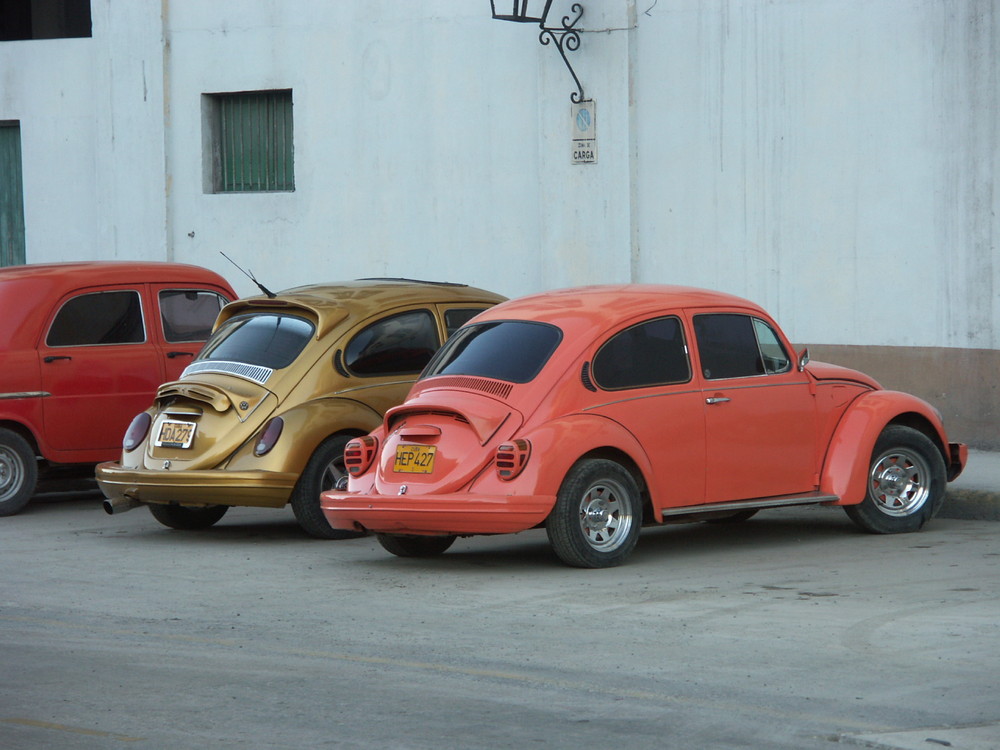 Käfer auf Cuba