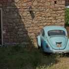 Käfer auf Korsika