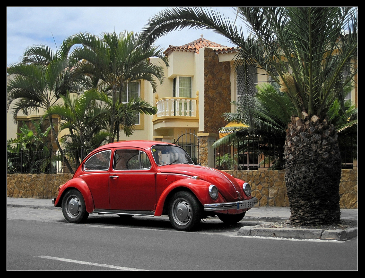 Käfer auf La Gomera - 2