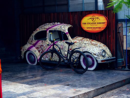 Käfer etswas zerschinitten