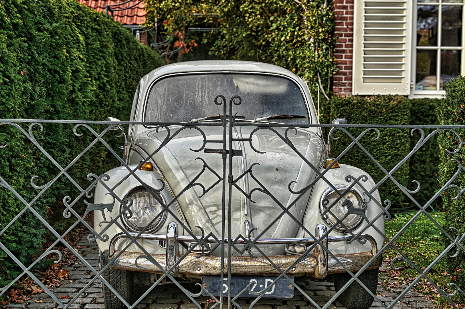 Käfer hinter Gittern