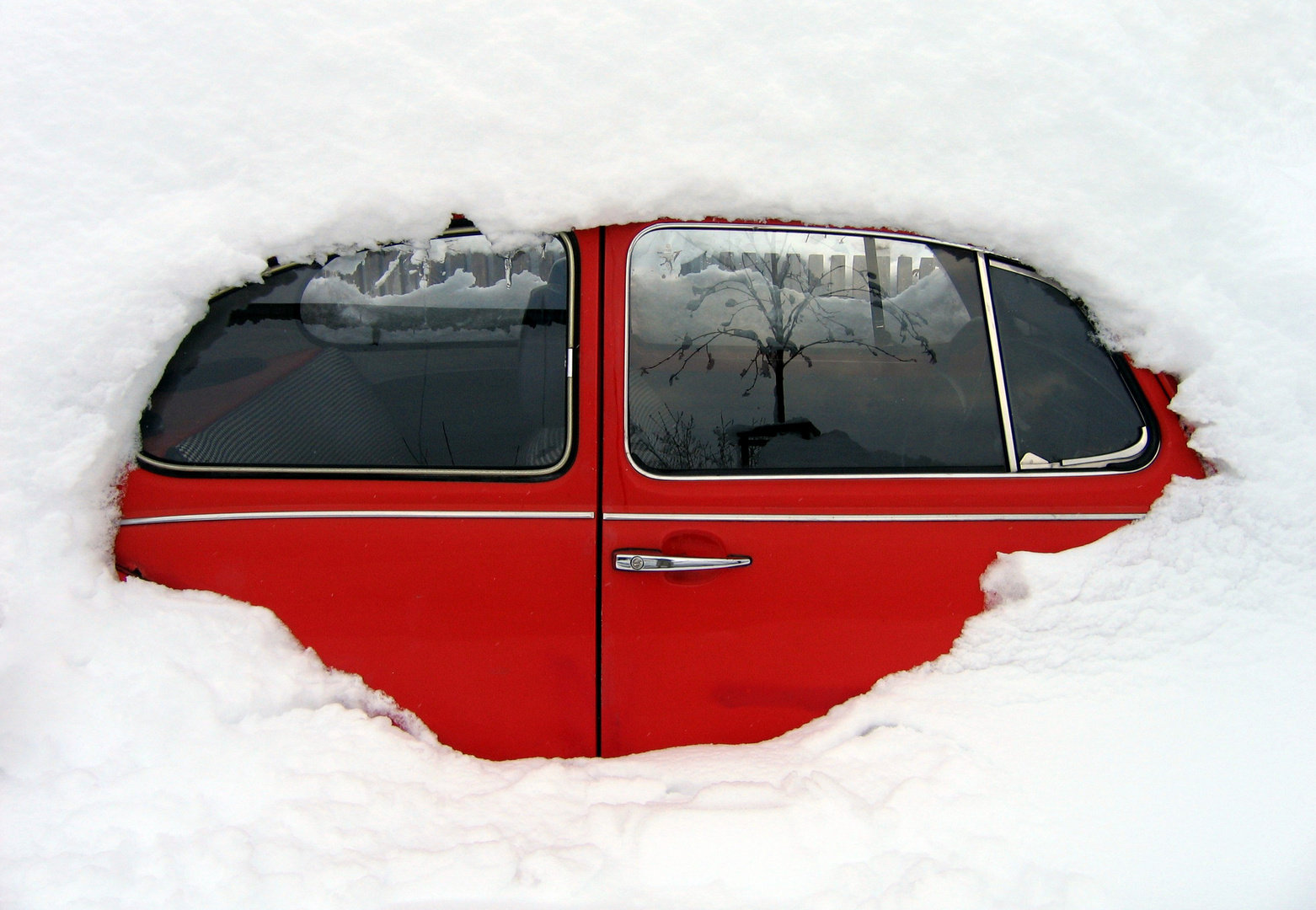 Käfer im Schnee