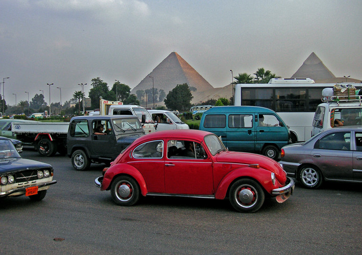 Käfer in Ägypten