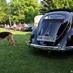 Käfer trifft Schäfer - Oldies im Park