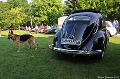 Käfer trifft Schäfer - Oldies im Park