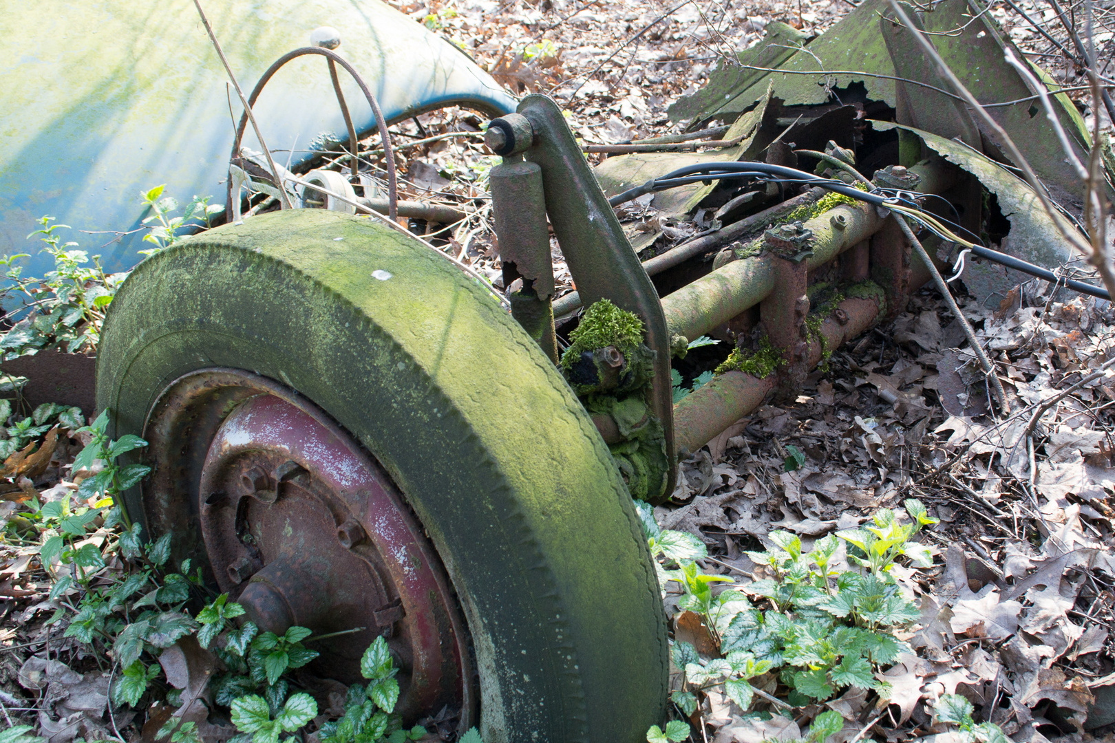 Käfer vorderachse