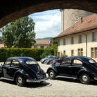 Käfertreffen im Schloss Rolle am Genfersee