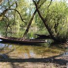 Kähne in den Rheinauen