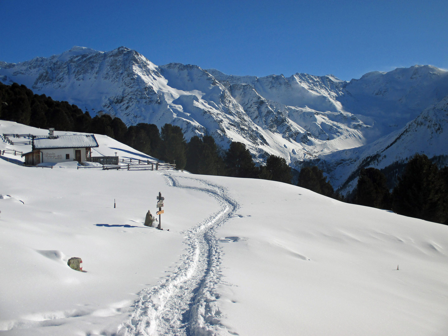 Kälberalm Sulden_29.01.2019