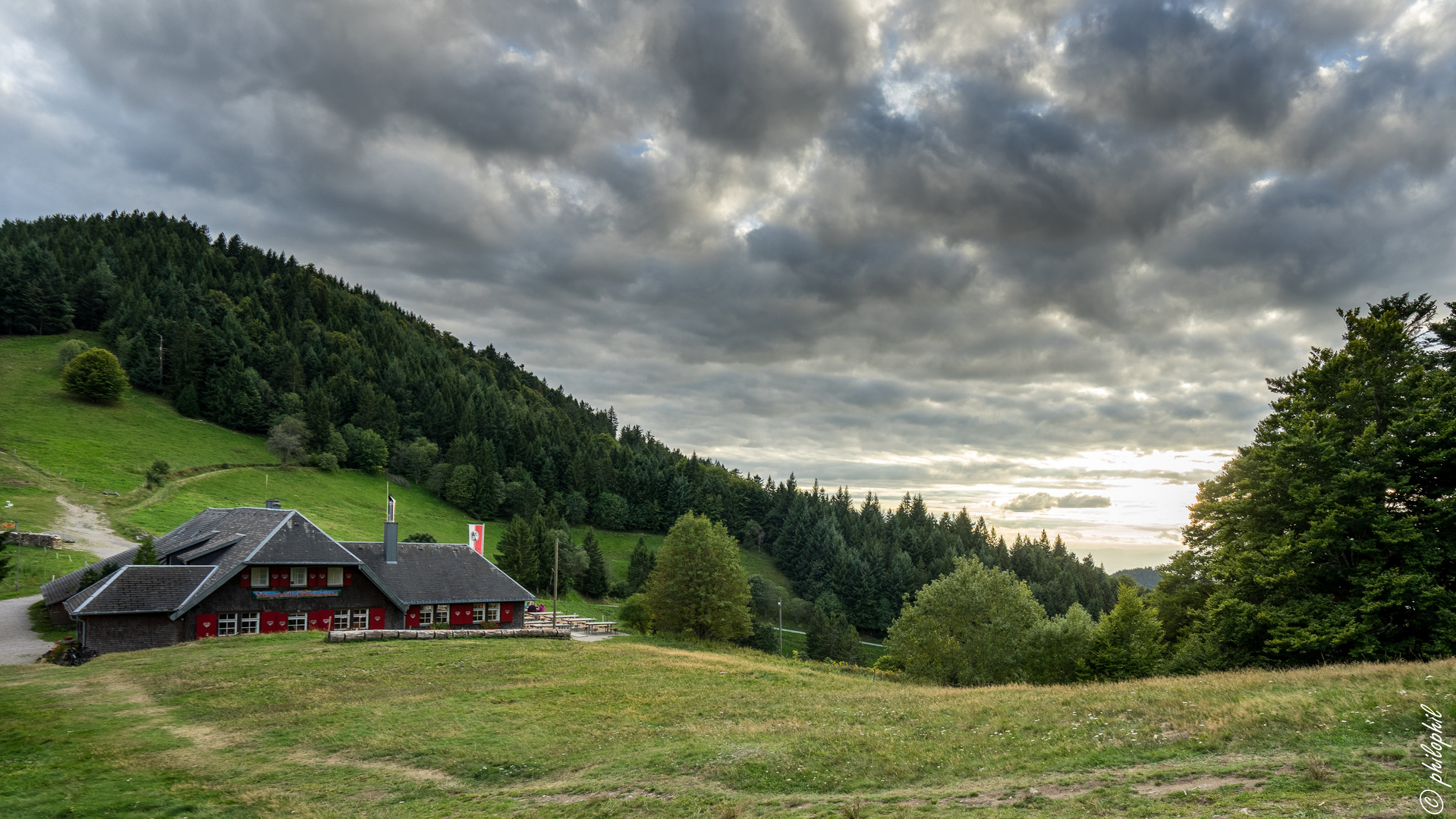 Kälblescheuer