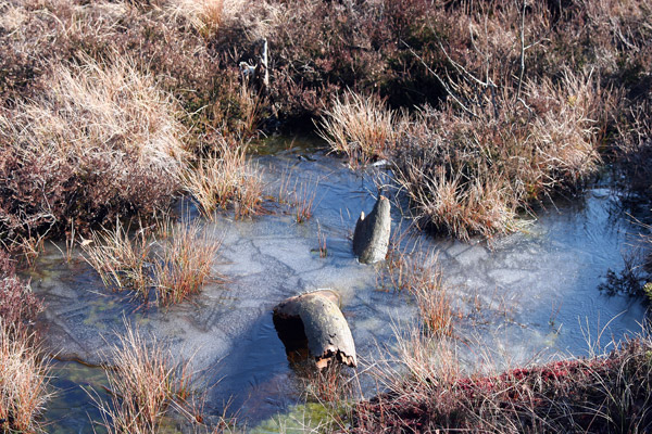 Kälte am Schwarzen Moor