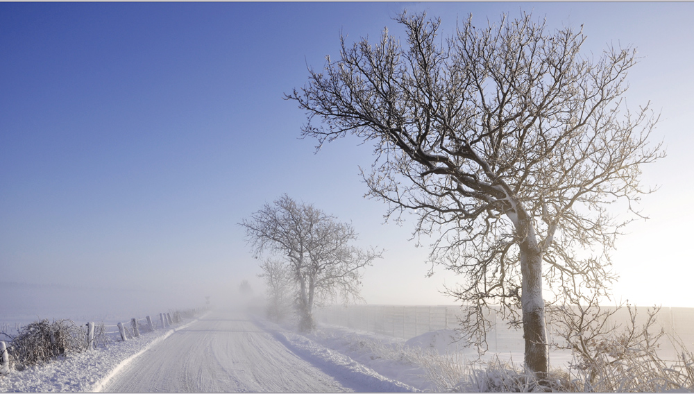 Kälte, Licht und Nebel