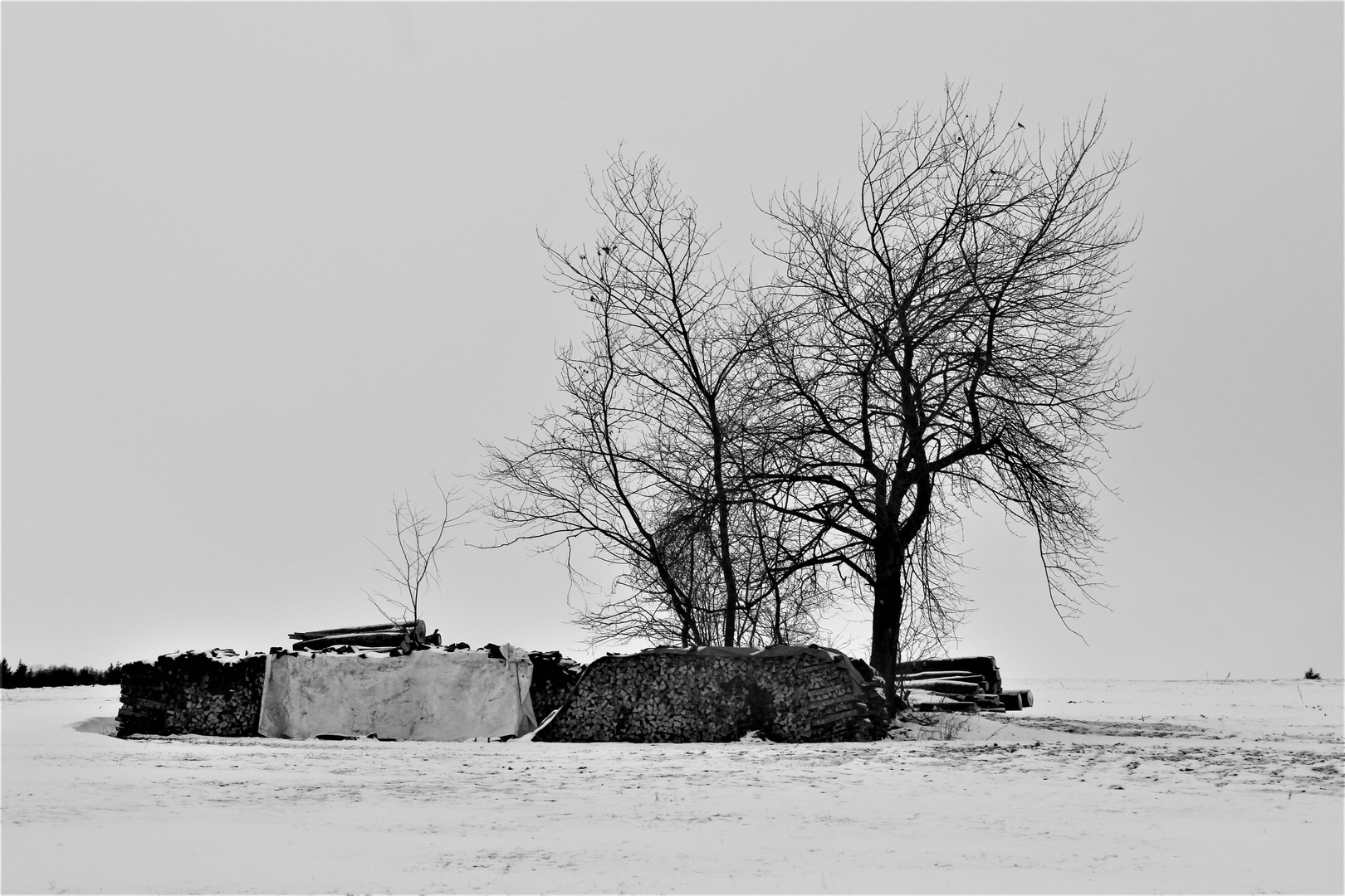 Kälte ,Stille ,Winter