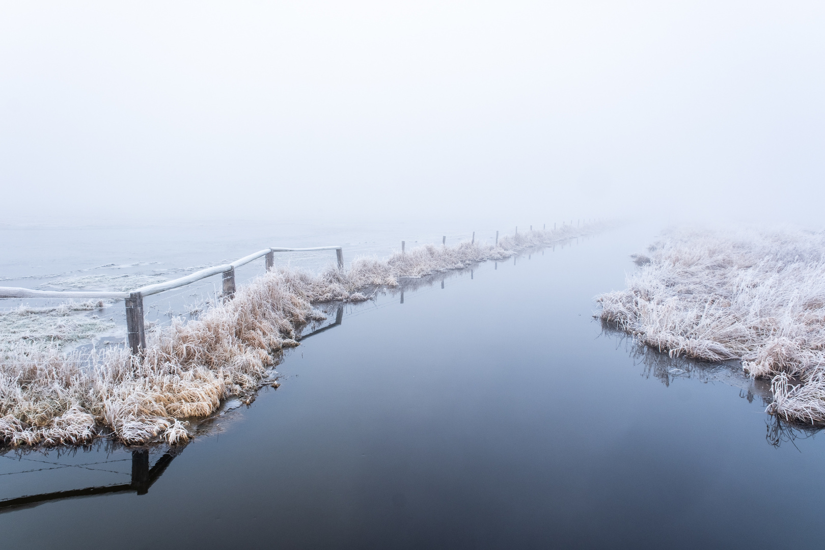 Kälte und Nebel ...