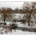 Kälte Wind und Schnee