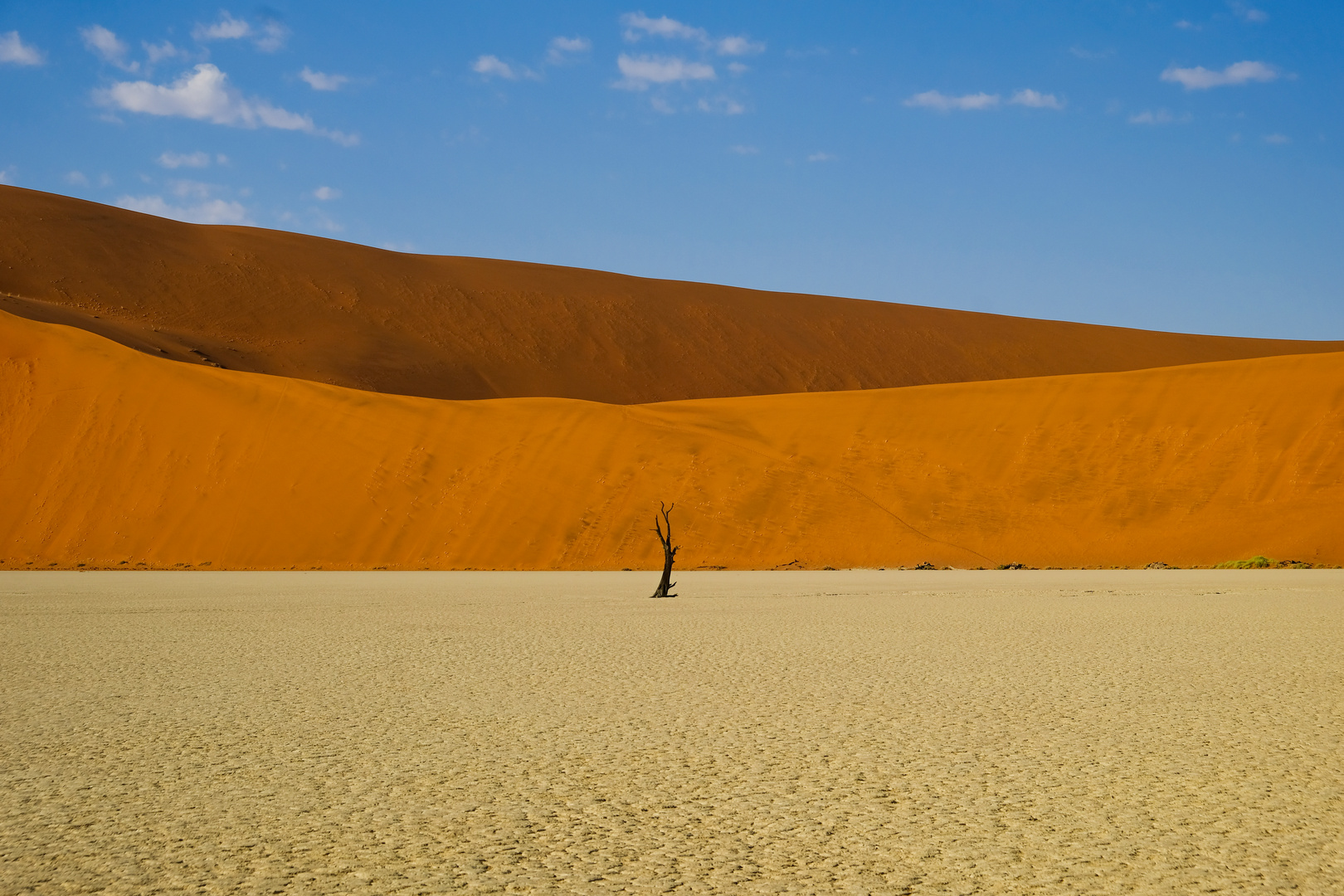 Kämpfer (Deadvlei Namibia)