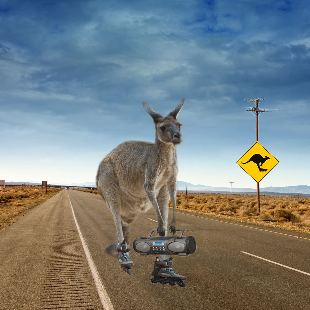 Känguru in Australien Foto &amp; Bild | fotos, world, himmel Bilder auf ...