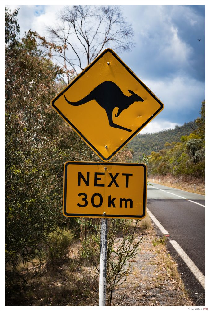 Känguru-Warnschild in Australien