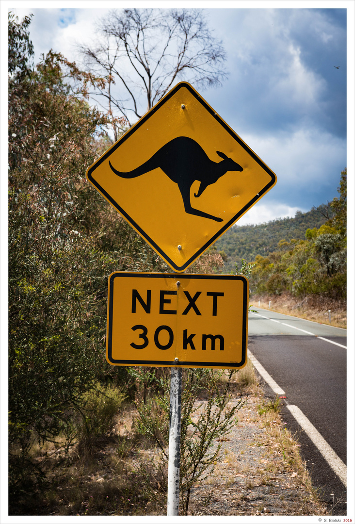 Känguru-Warnschild in Australien