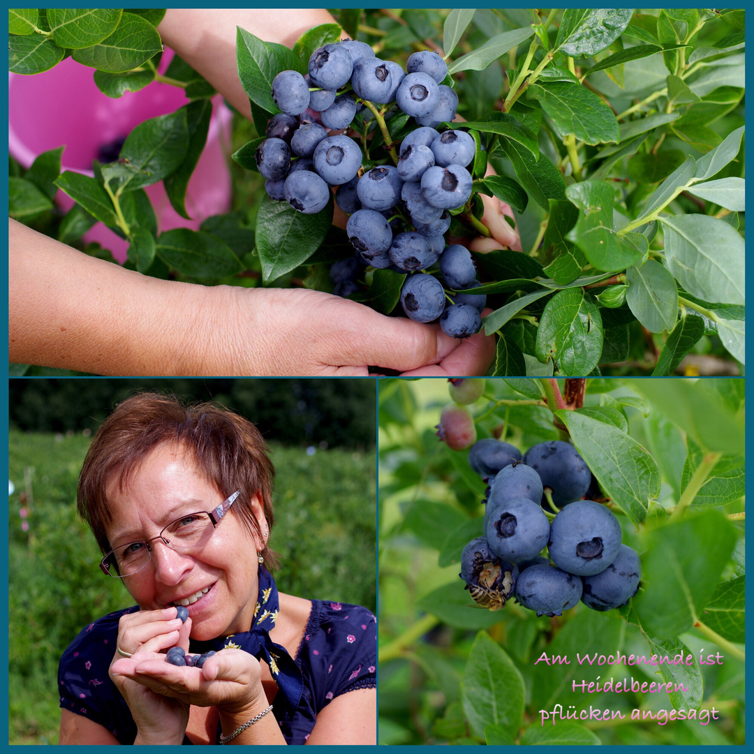 Käpt’n Blaubeer… Foto &amp; Bild | erwachsene menschen, pflanzen, pilze ...