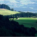 Kärnten - Blick