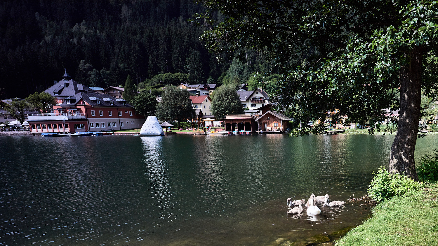 Kaernten Feld am See 