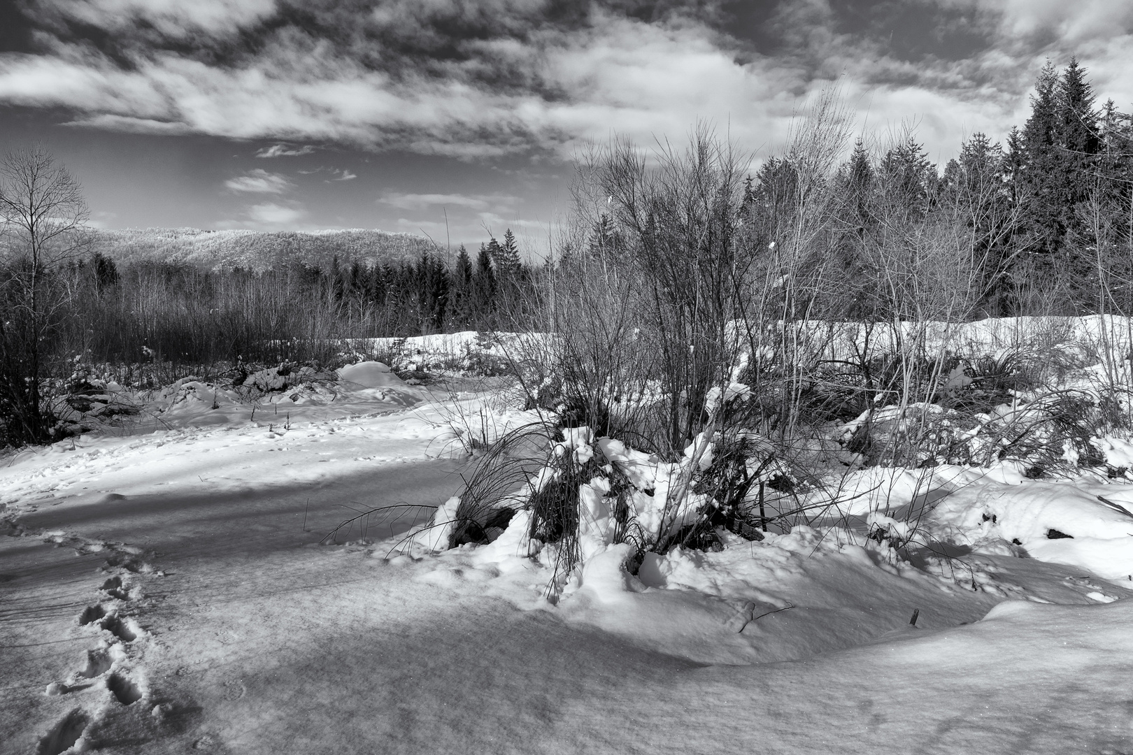 Kärnten im Schnee