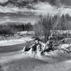 Kärnten im Schnee