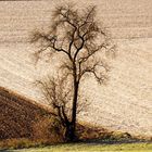 Kärntner Herbst