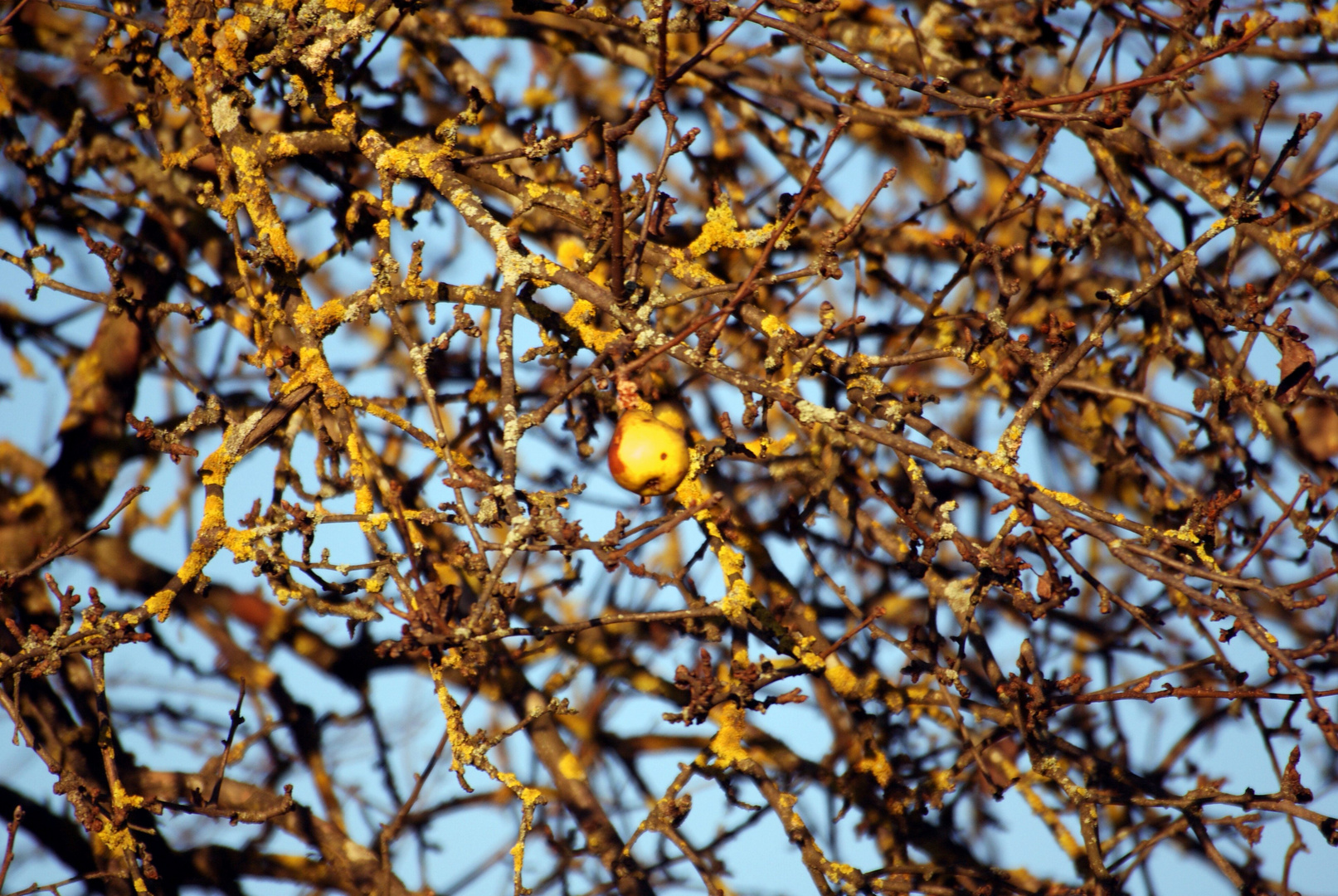 Kärntner Herbst