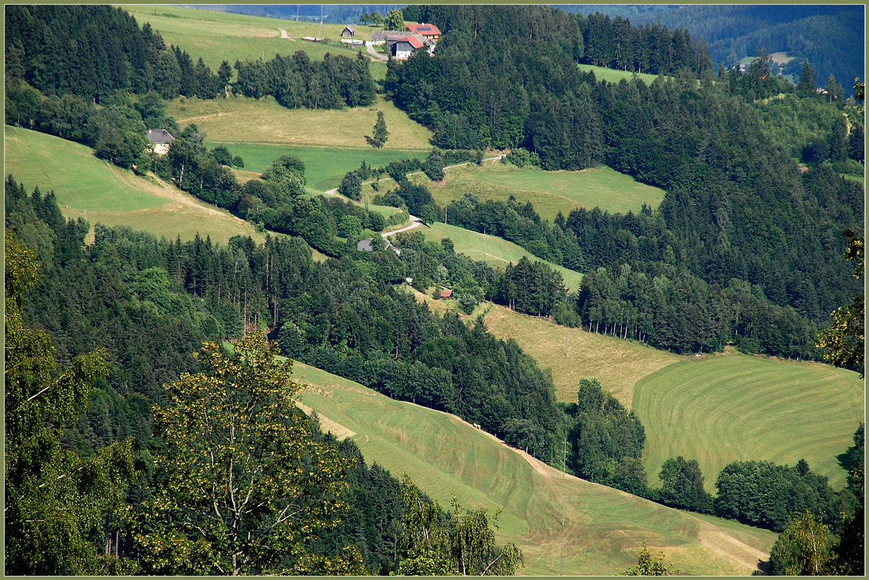 Kärntner Landleben ~3