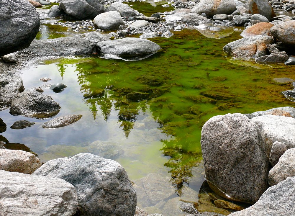 Kärstelenbach , Bristen , Maderanertal von peter tresch 