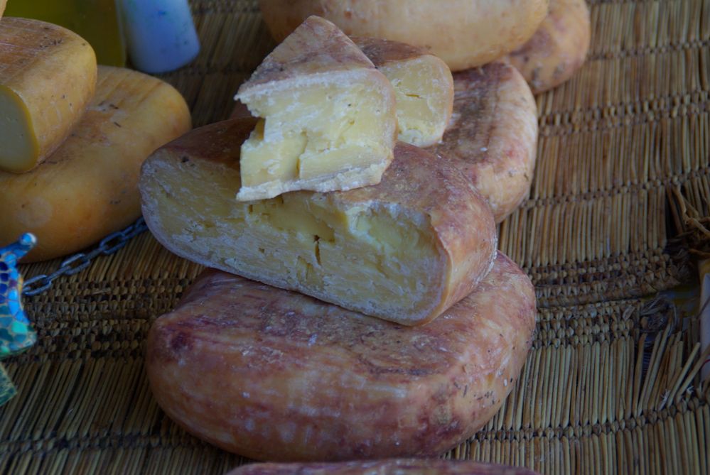 Käse