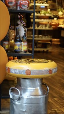 Käselaib - original holländisch  |  Cheese wheel – original Dutch