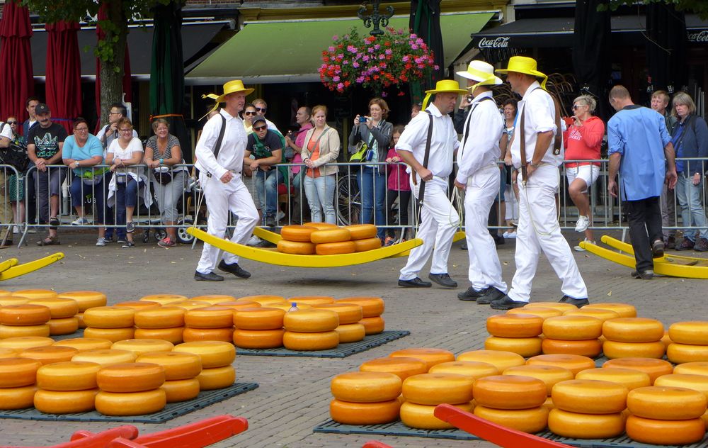 Käsemarkt in Alkmaar