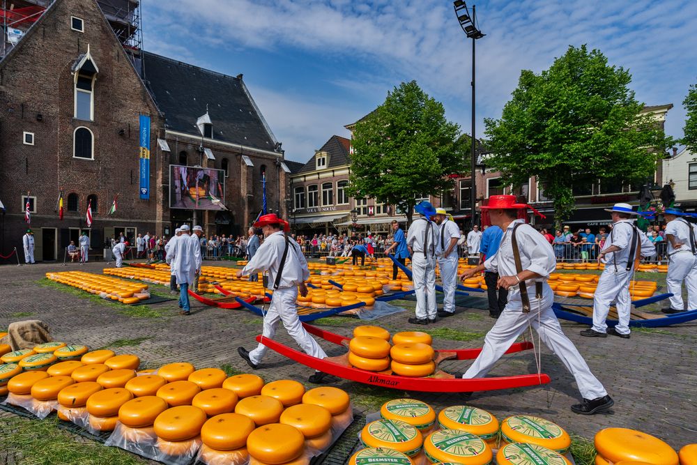 Käsemarkt in Alkmaar